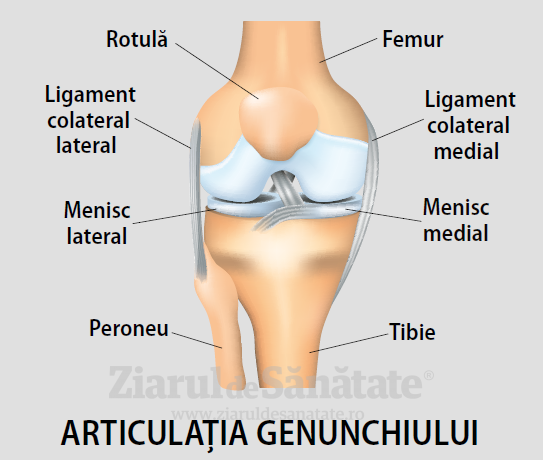 numele bolii în articulația genunchiului