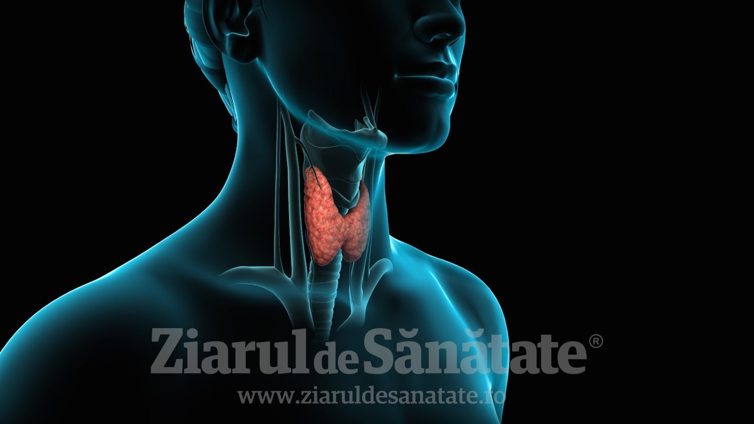 boala articulației tiroidiene